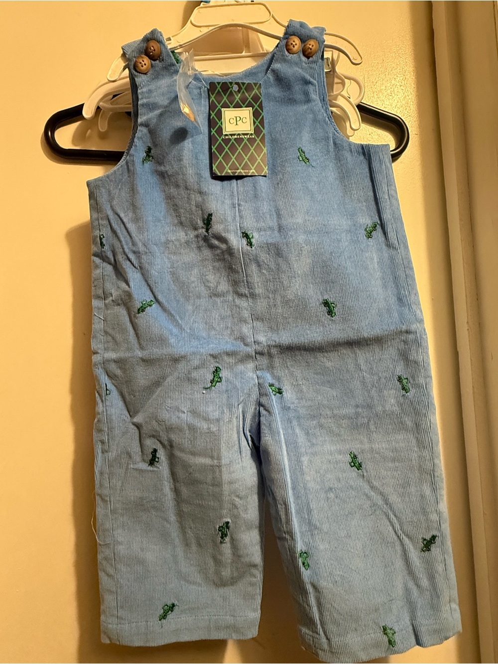 Sky Blue Kids Embroidered Overalls 9-12m